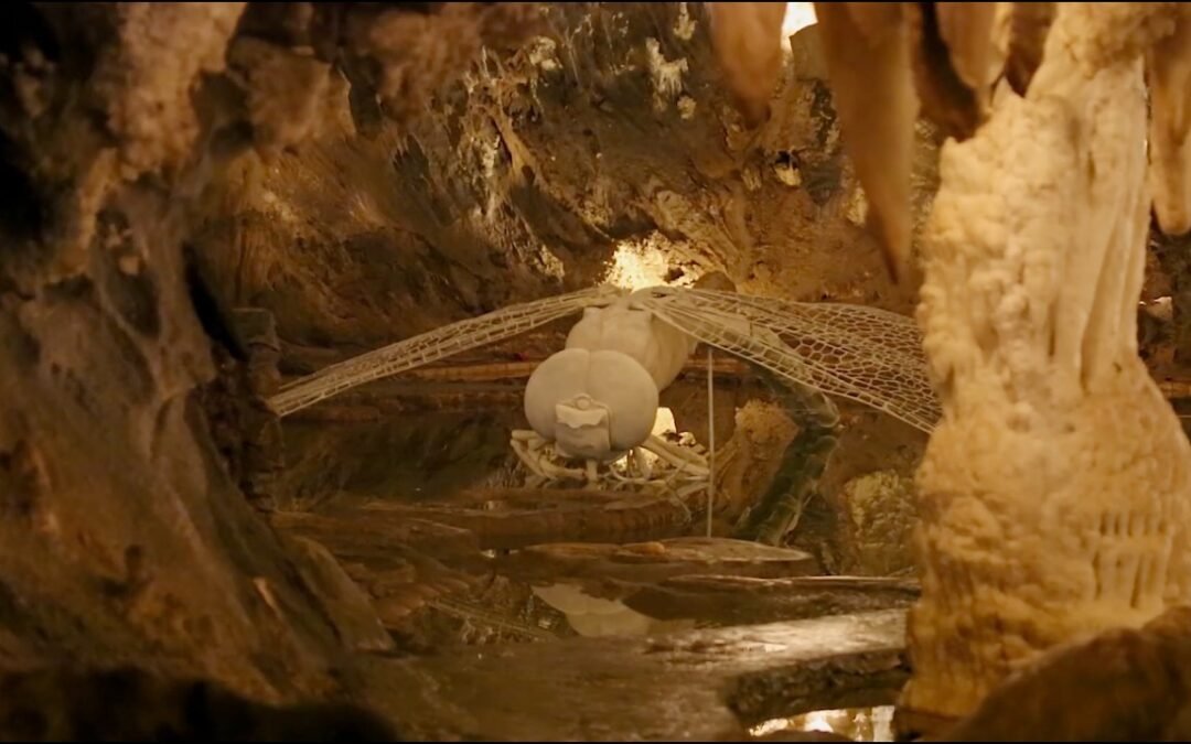Libélula | Efectos especiales y Libélula enorme en la Gruta de las Maravillas de Huelva